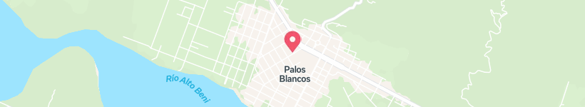Map Of Adela Zamudio, Palos Blancos, Bolivia, Street