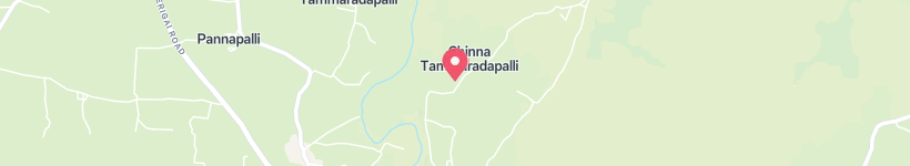 Map Of Thimmasandiram Road, Pannapalli, India, Street