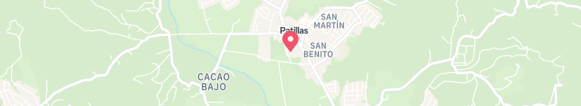 Map Of Calle Terminal, Patillas, Puerto Rico, Street