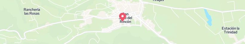 Map Of Calle Leona Vicario, San José Del Rincón Centro, Mexico, Street