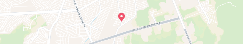 Map Of Mineral Del Palmarito, Culiacán, Mexico, Street