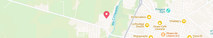Map Of Ginsen, Linares, Mexico, Street