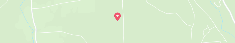 Map Of Noyes Road, Vestal, United States, Street