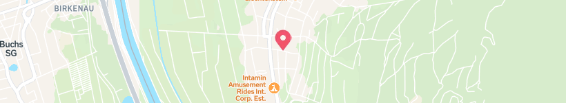 Map Of Winkelgass, Schaan, Liechtenstein, Street