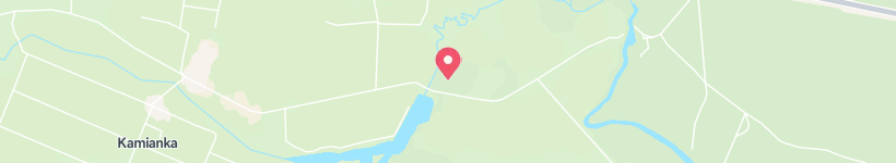 Map Of Vul. Tsentralʹna, Kamianka, Ukraine, Street