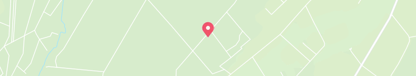 Map Of Loh, Germany, Forest
