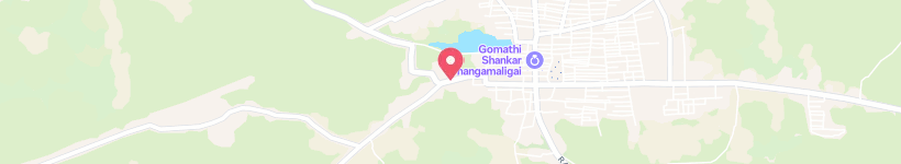 Map Of Puliangudi - Tirunelveli Road, Sankarankoil, India, Street